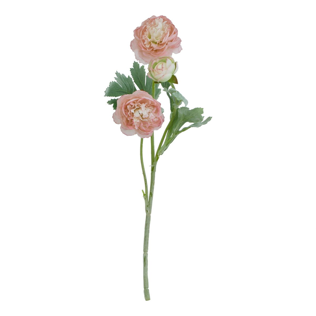 The Natural Garden Collection Pink Ranunculus 50 cm