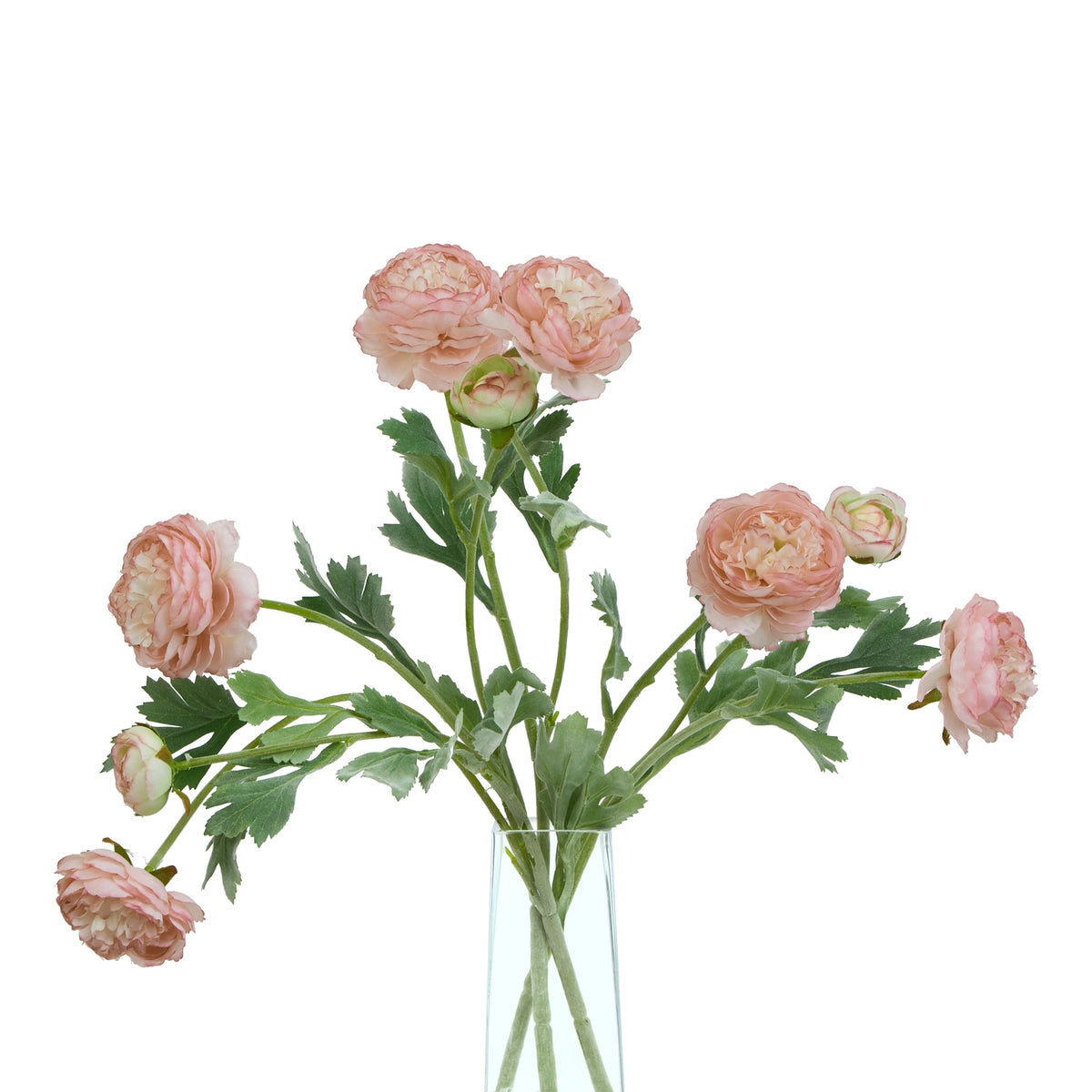 The Natural Garden Collection Pink Ranunculus 50 cm