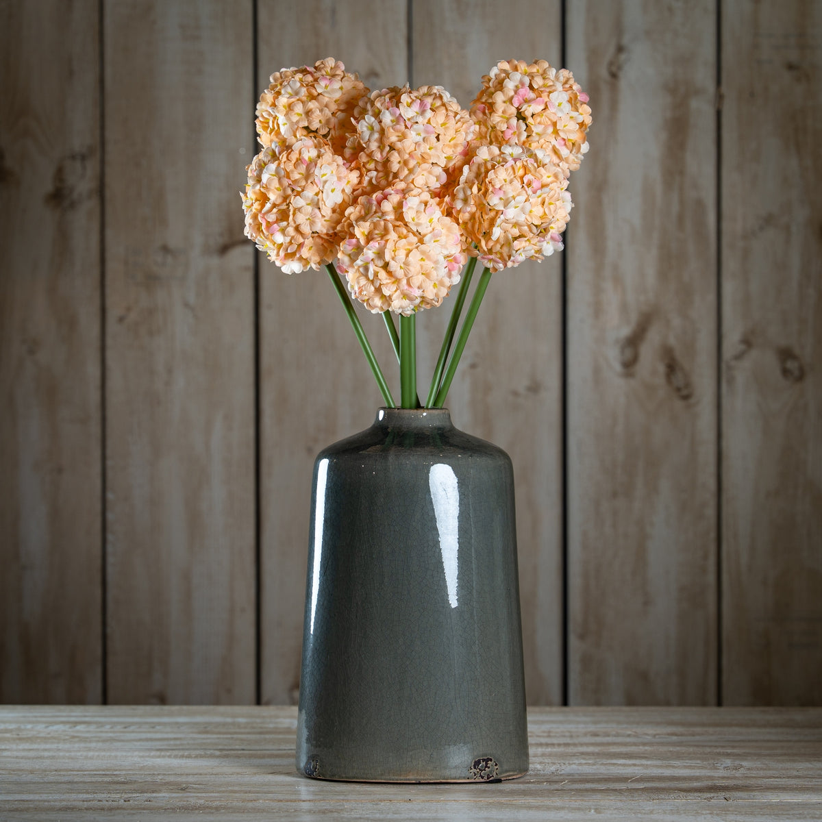 The Natural Garden Collection White & Apricot Allium 56 cm