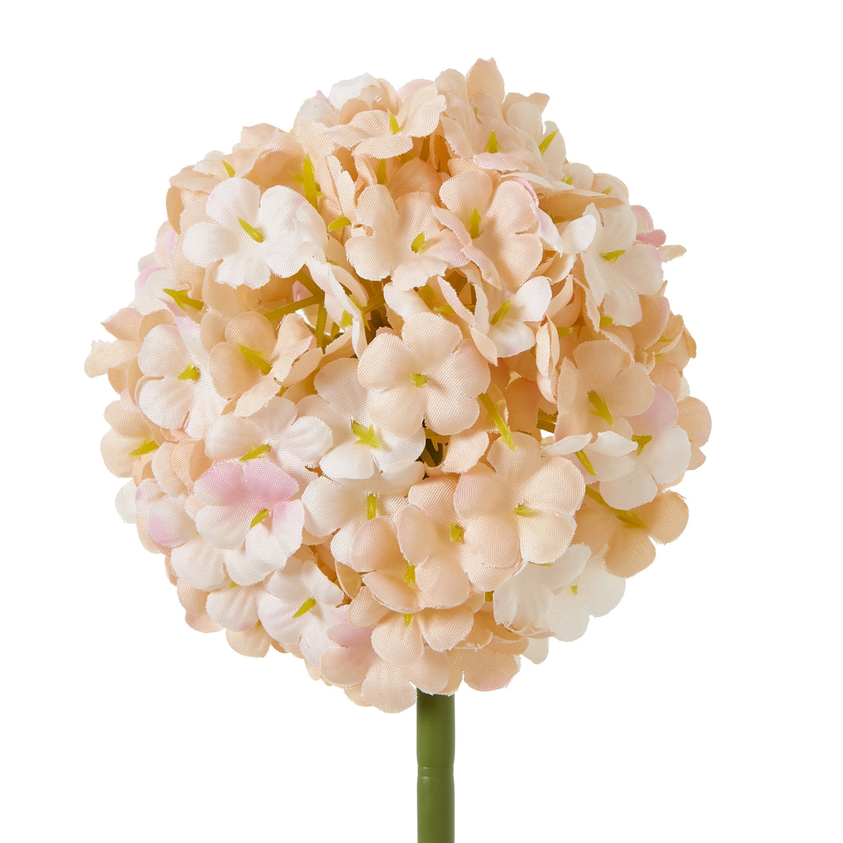 The Natural Garden Collection White & Apricot Allium 56 cm