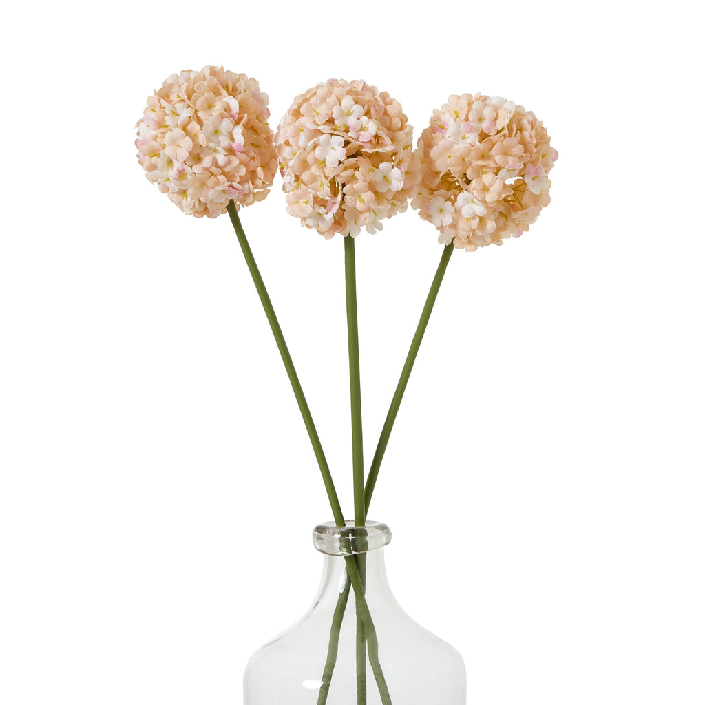 The Natural Garden Collection White & Apricot Allium 56 cm