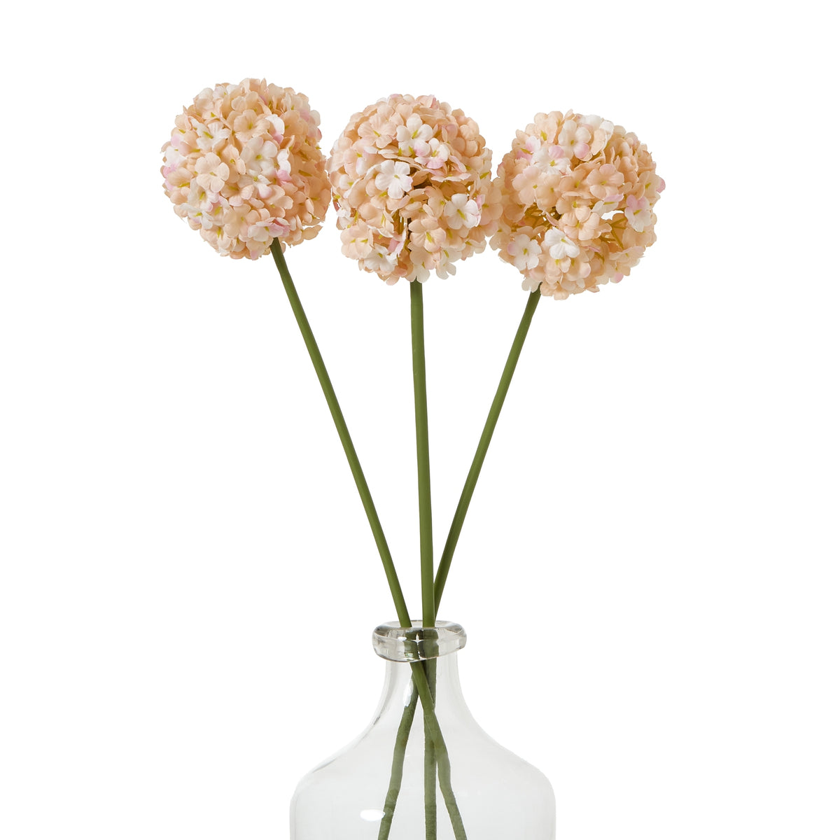 The Natural Garden Collection White & Apricot Allium 56 cm