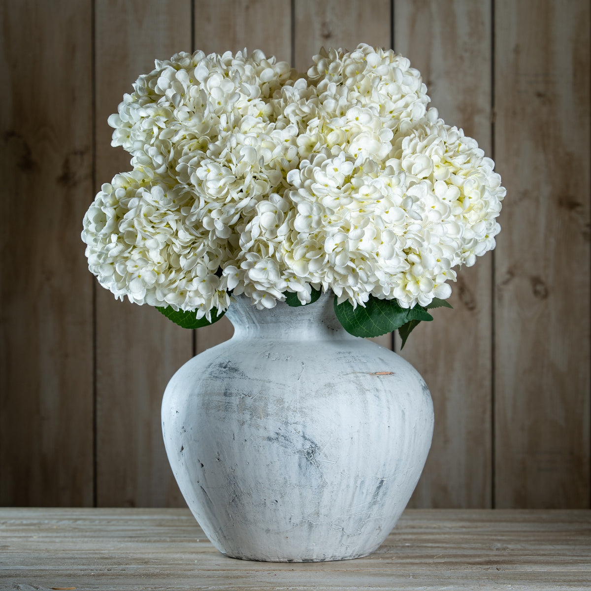 The Natural Garden Collection White Allium 66 cm