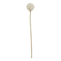 The Natural Garden Collection White Allium 66 cm