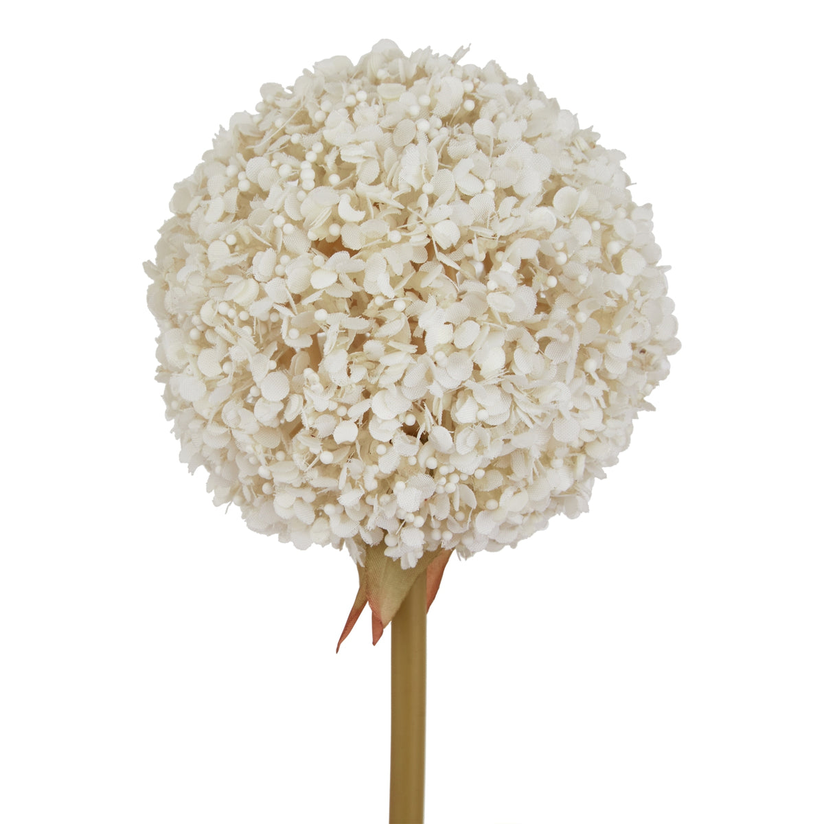 The Natural Garden Collection White Allium 66 cm