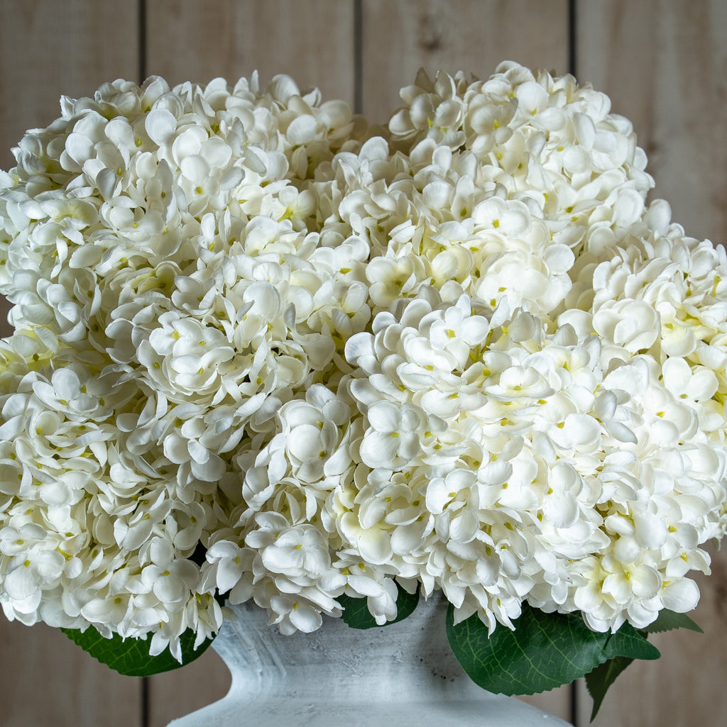 The Natural Garden Collection White Allium 66 cm