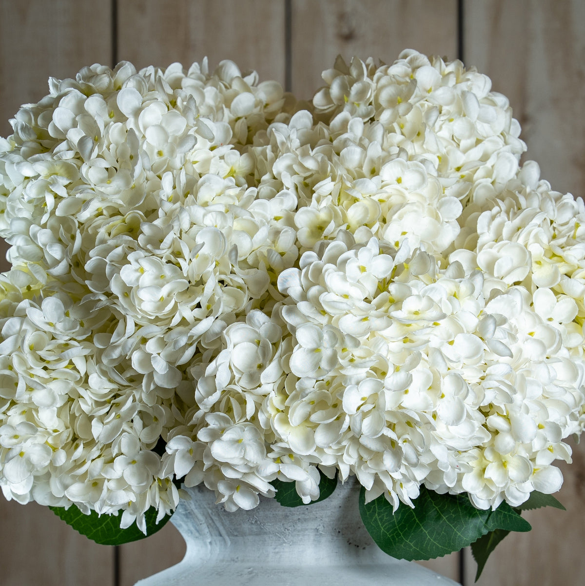 The Natural Garden Collection White Allium 66 cm