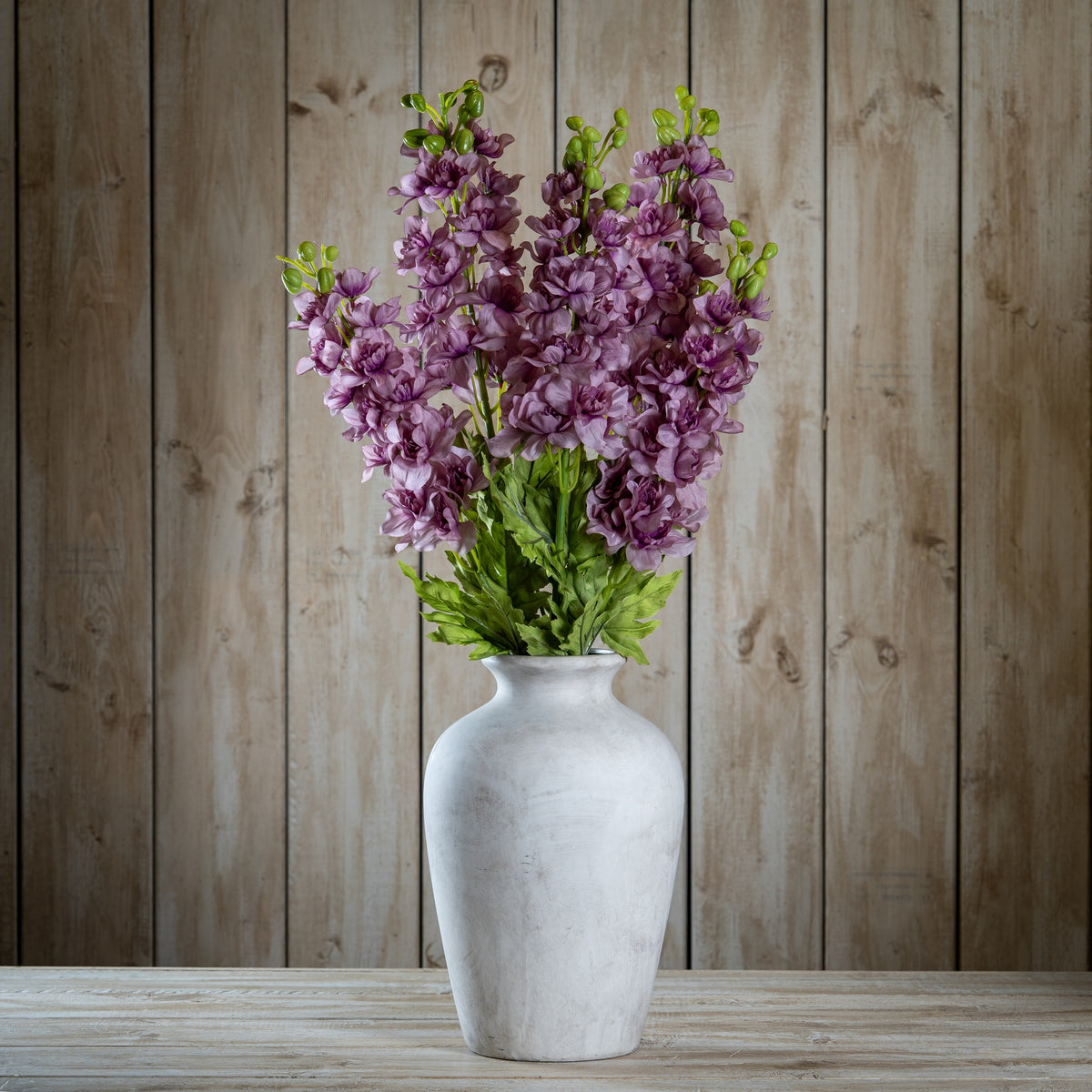 The Natural Garden Collection Purple Elatum Delphinium 78 cm