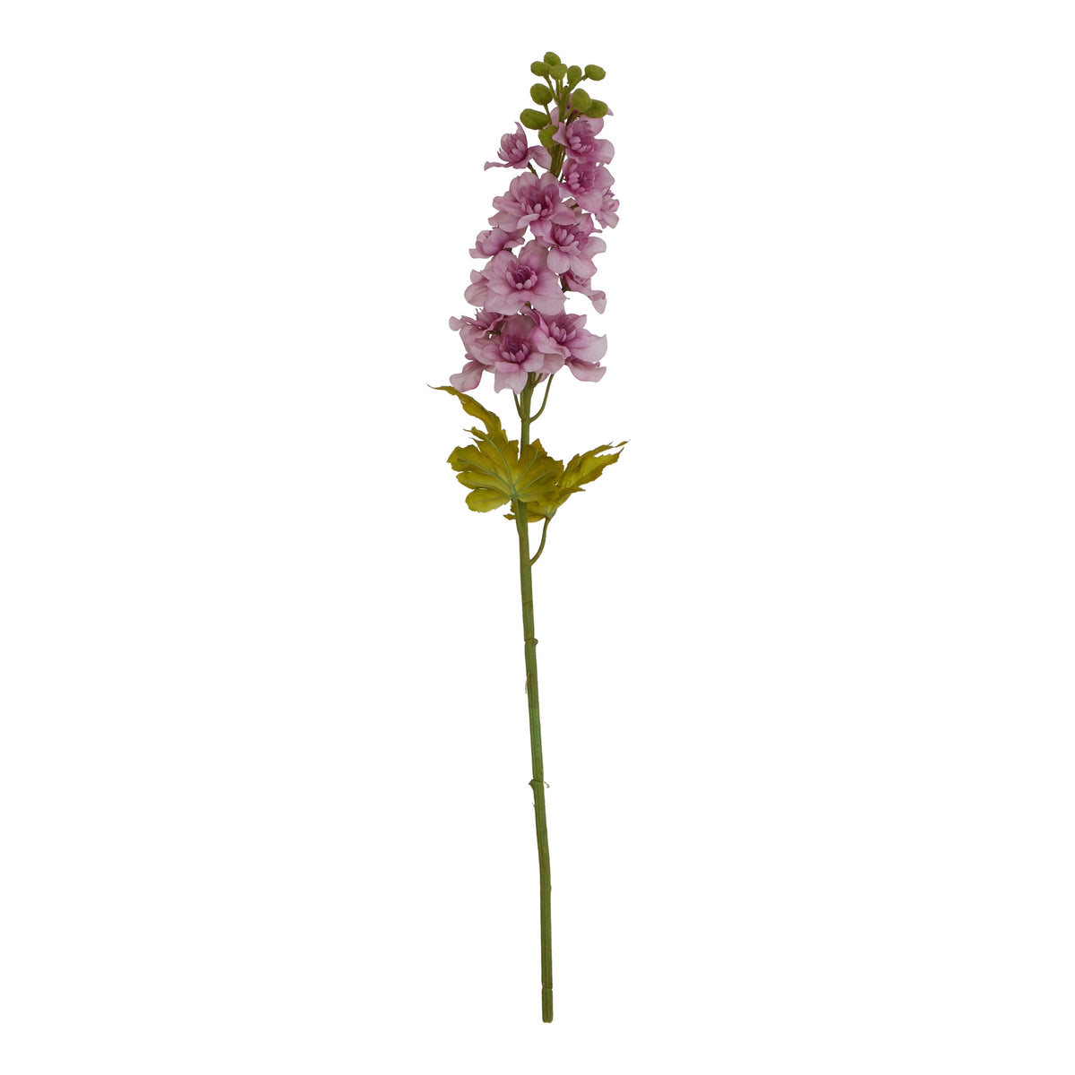 The Natural Garden Collection Purple Elatum Delphinium 78 cm