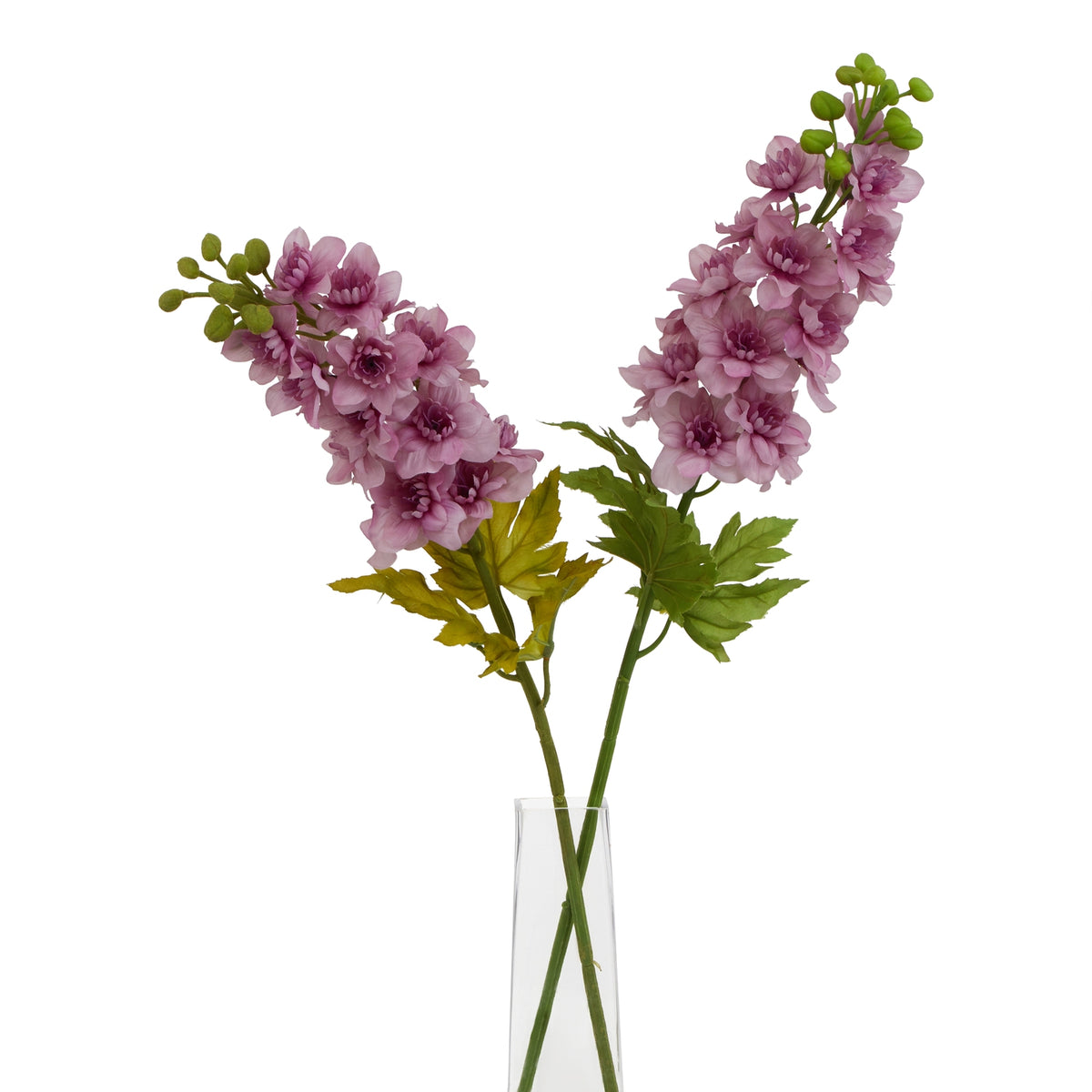 The Natural Garden Collection Purple Elatum Delphinium 78 cm