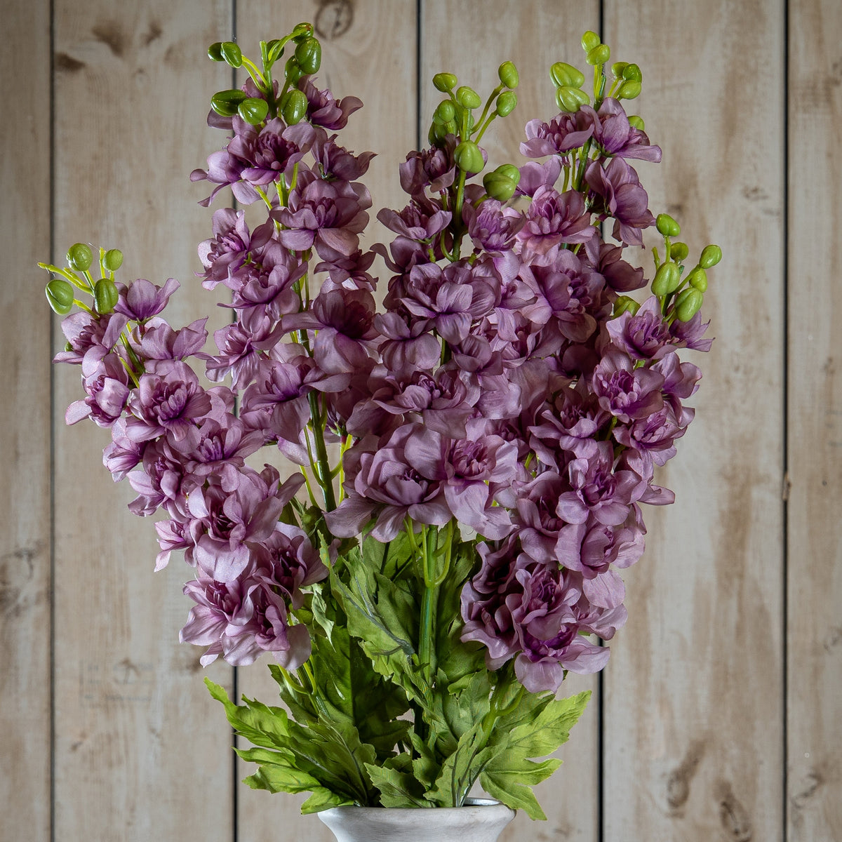 The Natural Garden Collection Purple Elatum Delphinium 78 cm