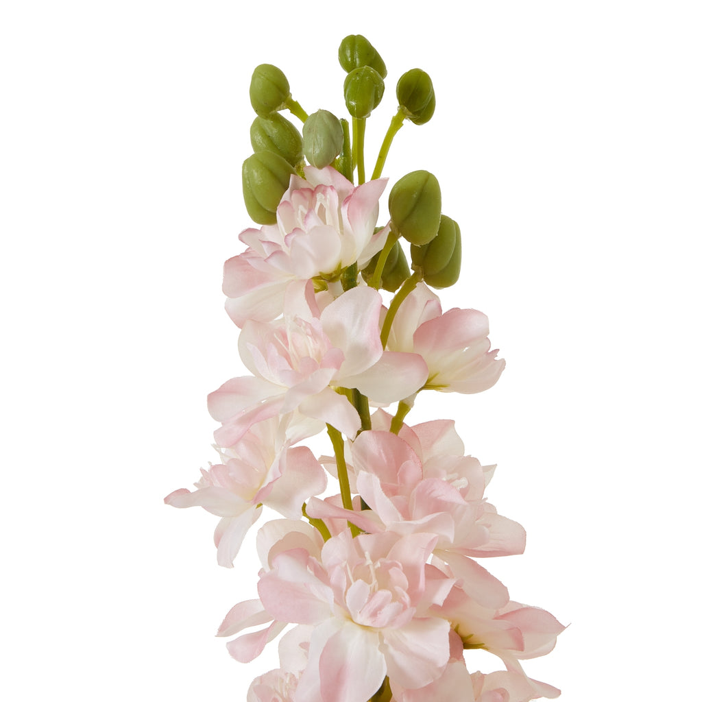 The Natural Garden Collection Pink Elatum Delphinium 78 cm