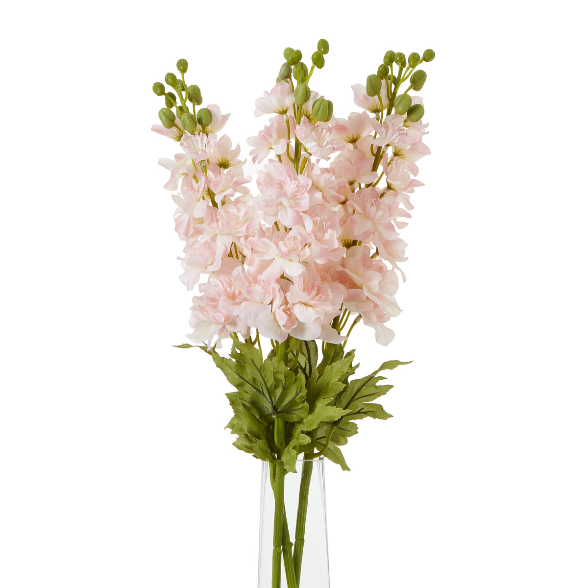 The Natural Garden Collection Pink Elatum Delphinium 78 cm