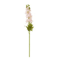 The Natural Garden Collection Pink Elatum Delphinium 78 cm