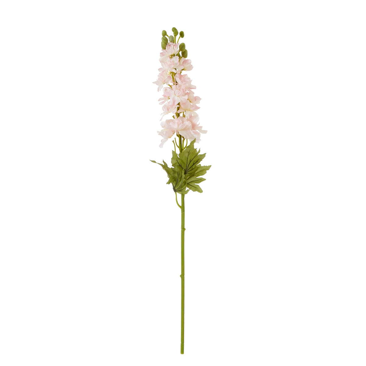The Natural Garden Collection Pink Elatum Delphinium 78 cm