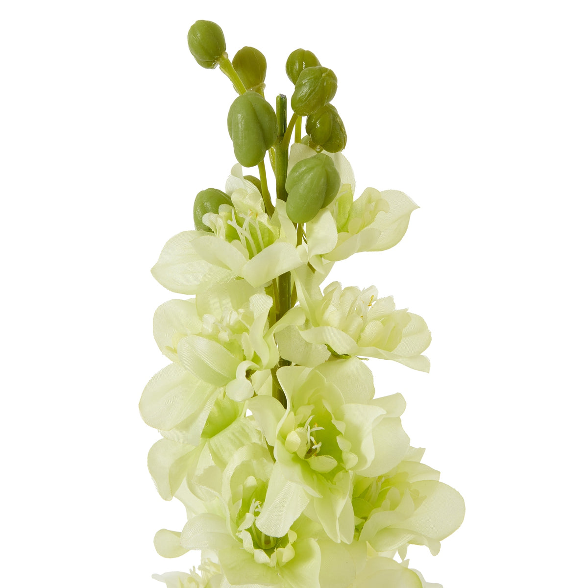 The Natural Garden Collection White Elatum Delphinium 78 cm