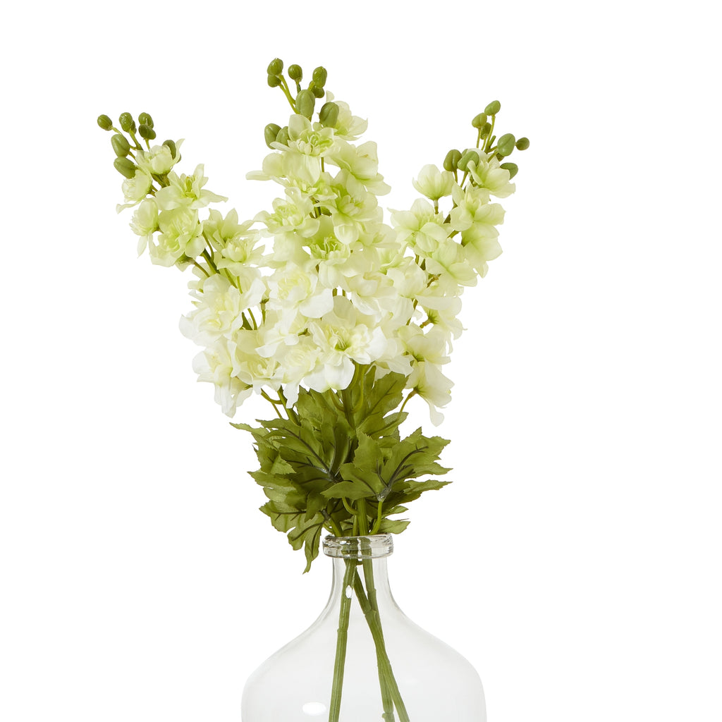 The Natural Garden Collection White Elatum Delphinium 78 cm