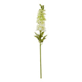 The Natural Garden Collection White Elatum Delphinium 78 cm