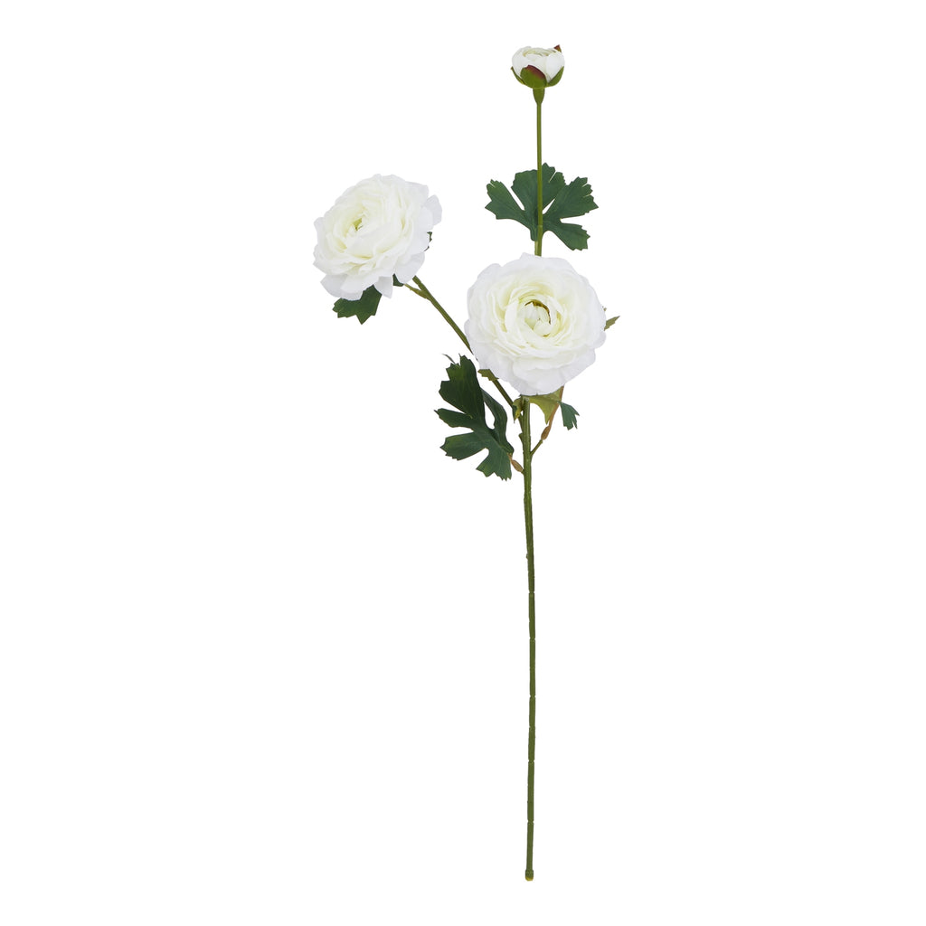 The Natural Garden Collection White Ranunculus 64 cm