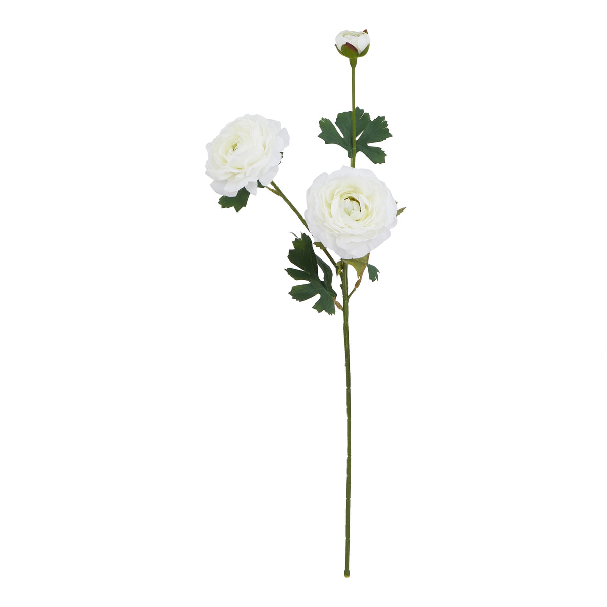 The Natural Garden Collection White Ranunculus 64 cm