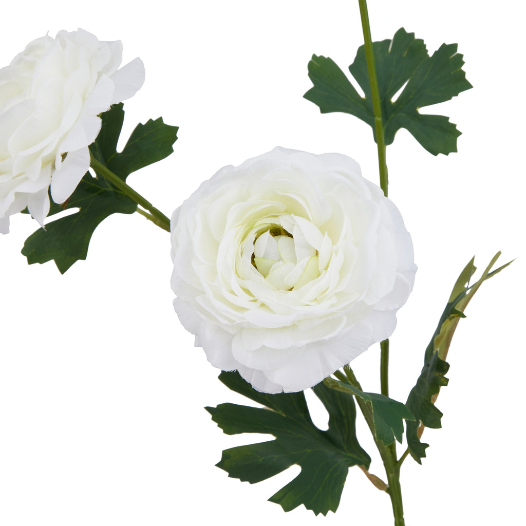 The Natural Garden Collection White Ranunculus 64 cm