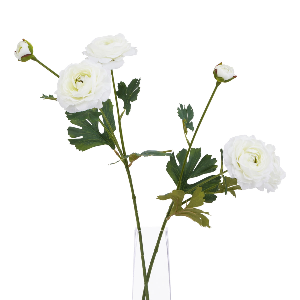 The Natural Garden Collection White Ranunculus 64 cm
