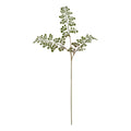 The Natural Garden Collection Maidenhair Fern Stem 64 cm