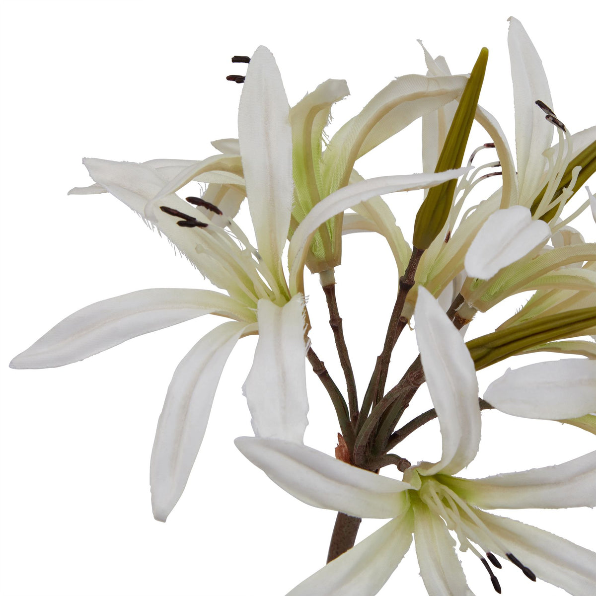 The Natural Garden Collection White Nerine Lily Stem 61 cm