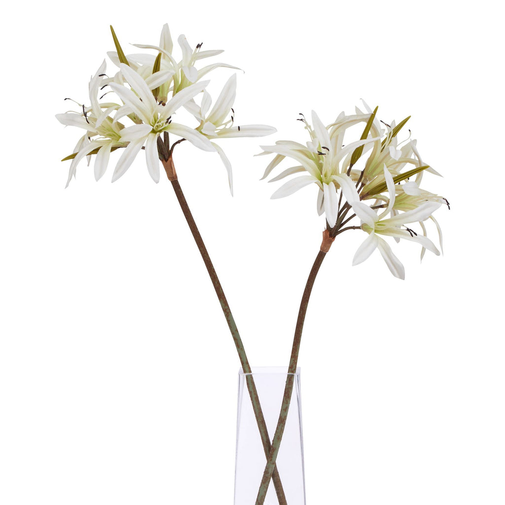 The Natural Garden Collection White Nerine Lily Stem 61 cm