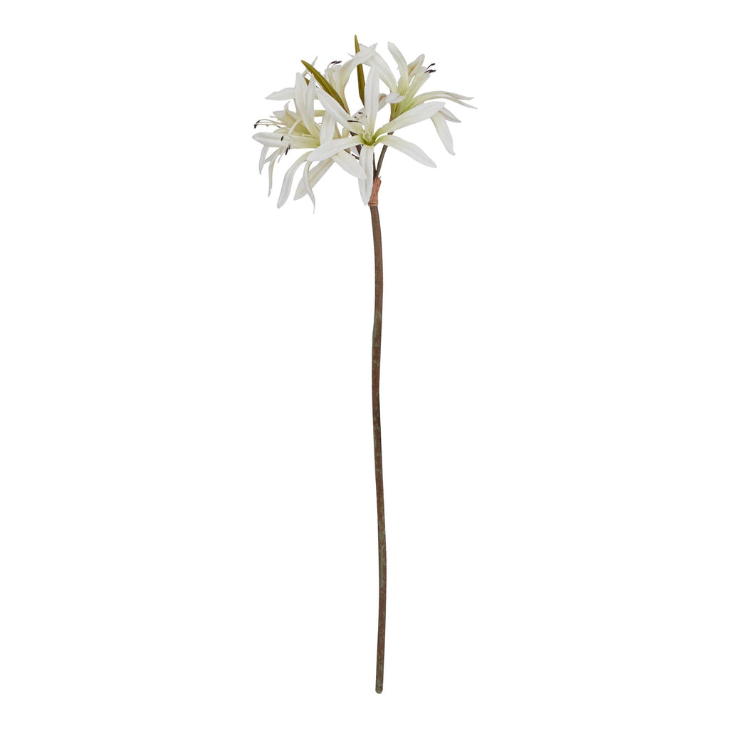 The Natural Garden Collection White Nerine Lily Stem 61 cm