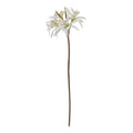 The Natural Garden Collection White Nerine Lily Stem 61 cm
