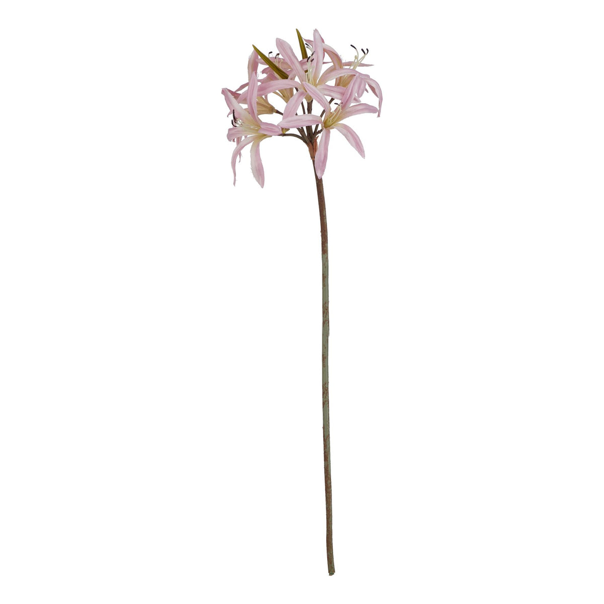 The Natural Garden Collection Pink Lily Stem 61 cm