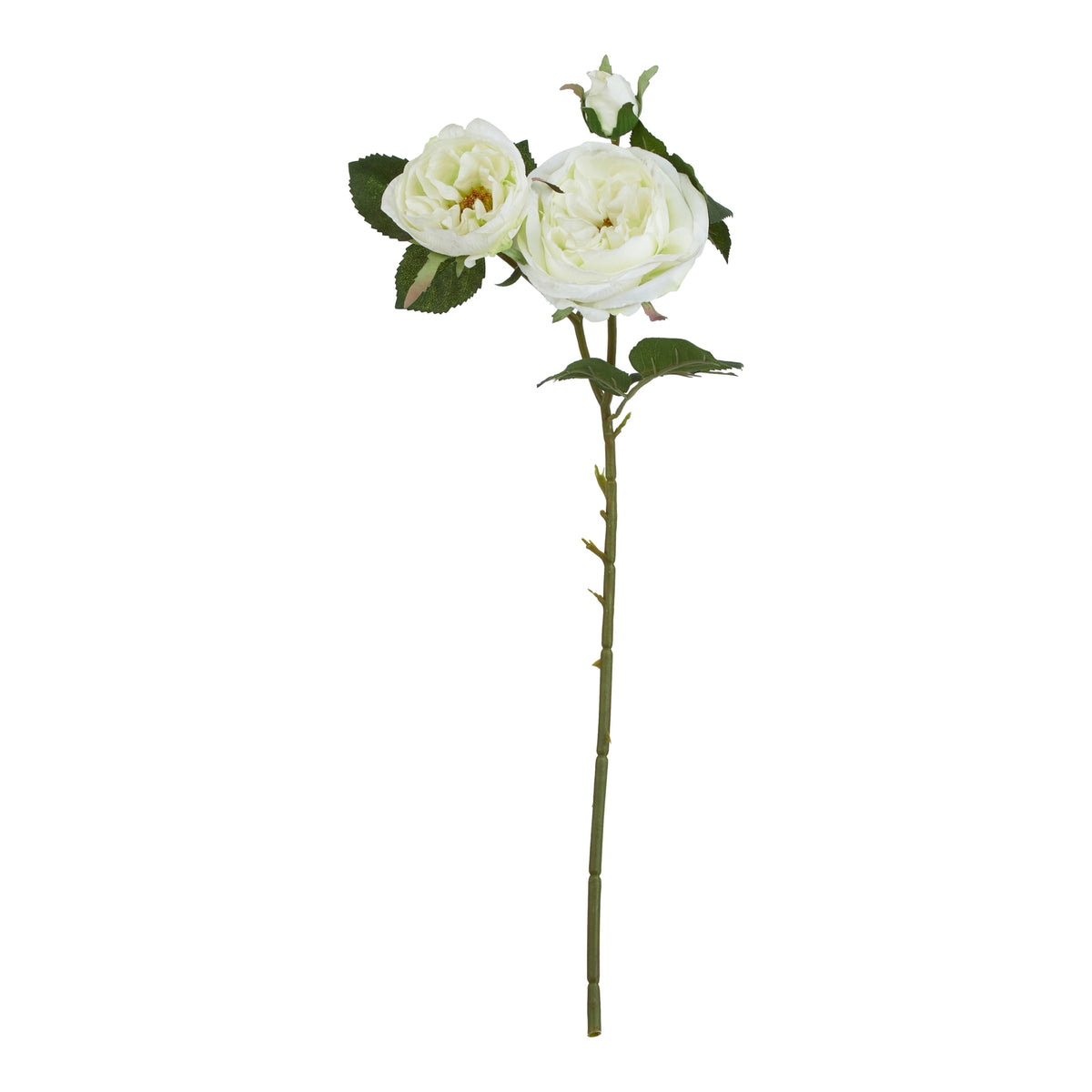 The Natural Garden Collection White Charity Rose 58 cm