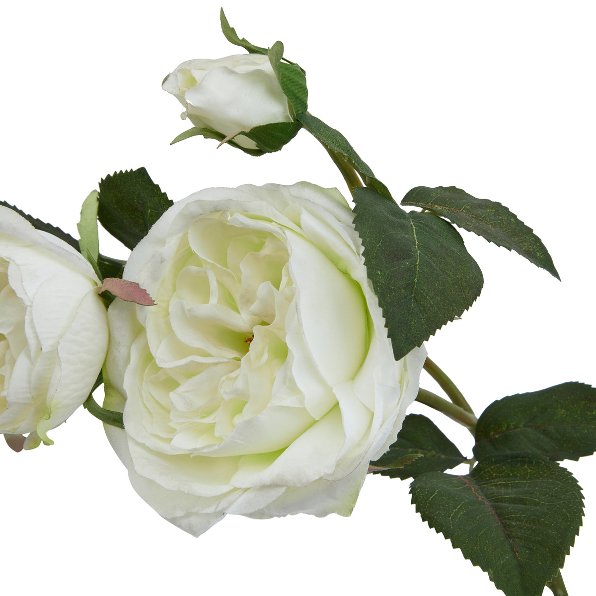 The Natural Garden Collection White Charity Rose 58 cm