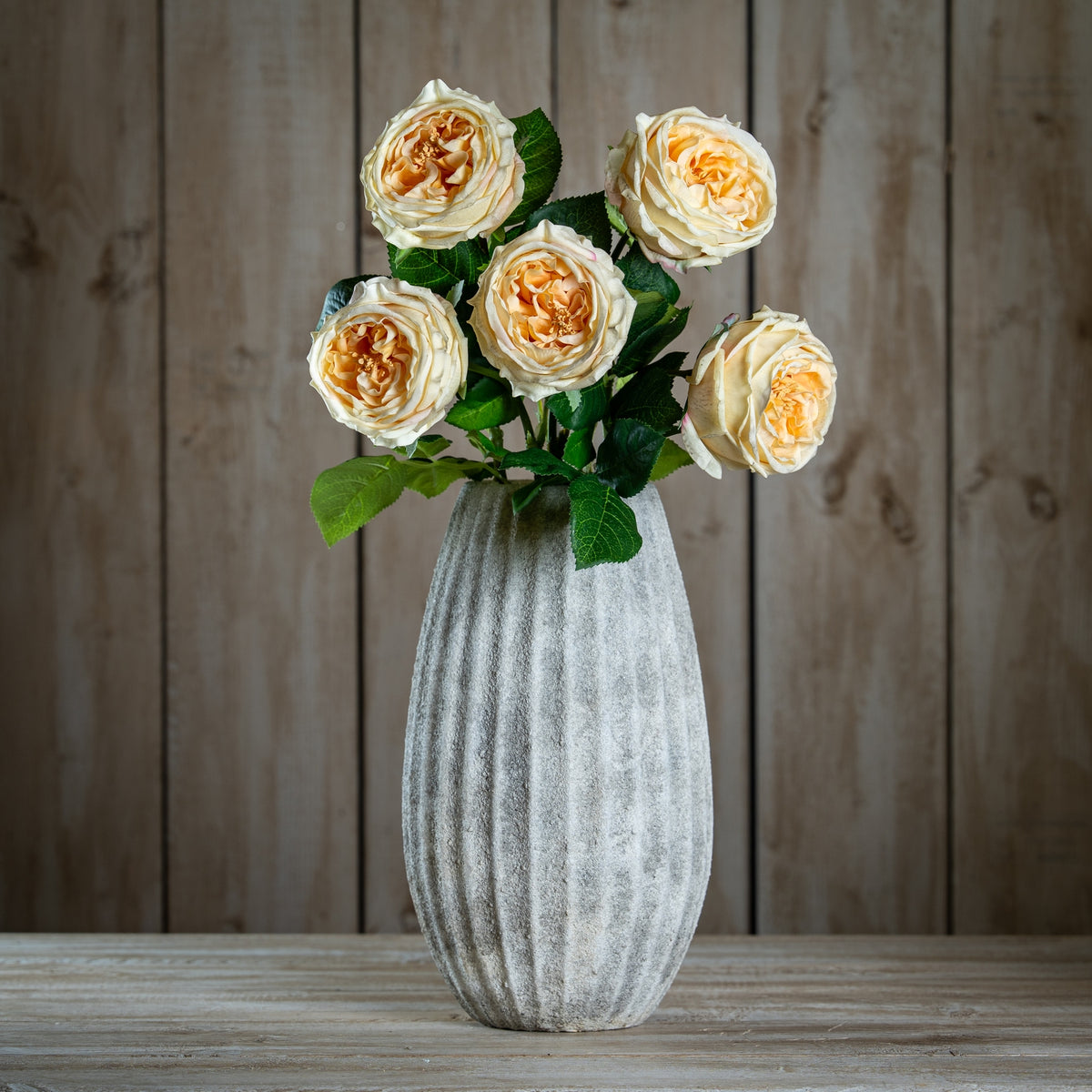 The Natural Garden Collection Palest Blush Charity Rose 58 cm