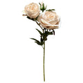 The Natural Garden Collection Palest Blush Charity Rose 58 cm