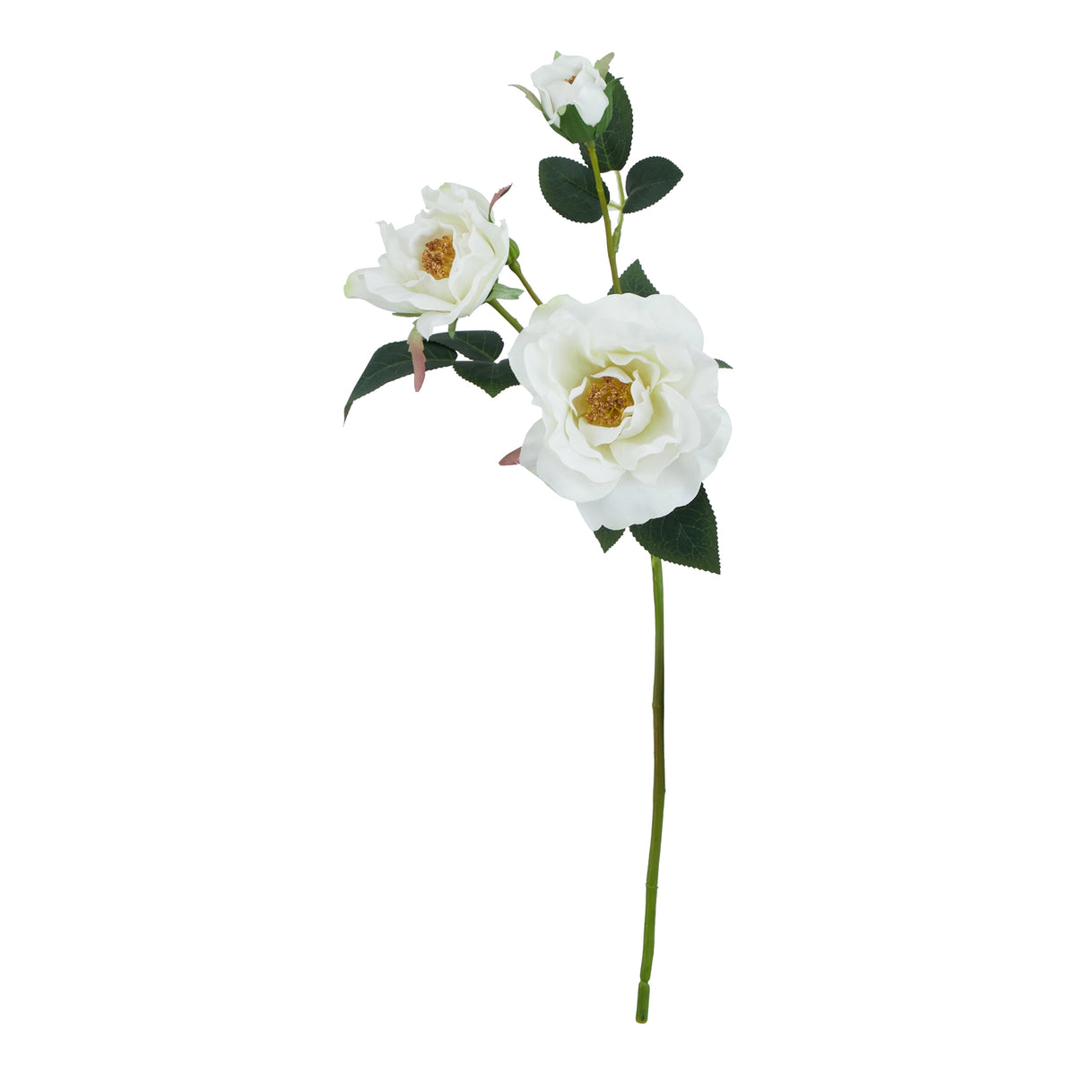 The Natural Garden Collection White Tea Rose 60 cm