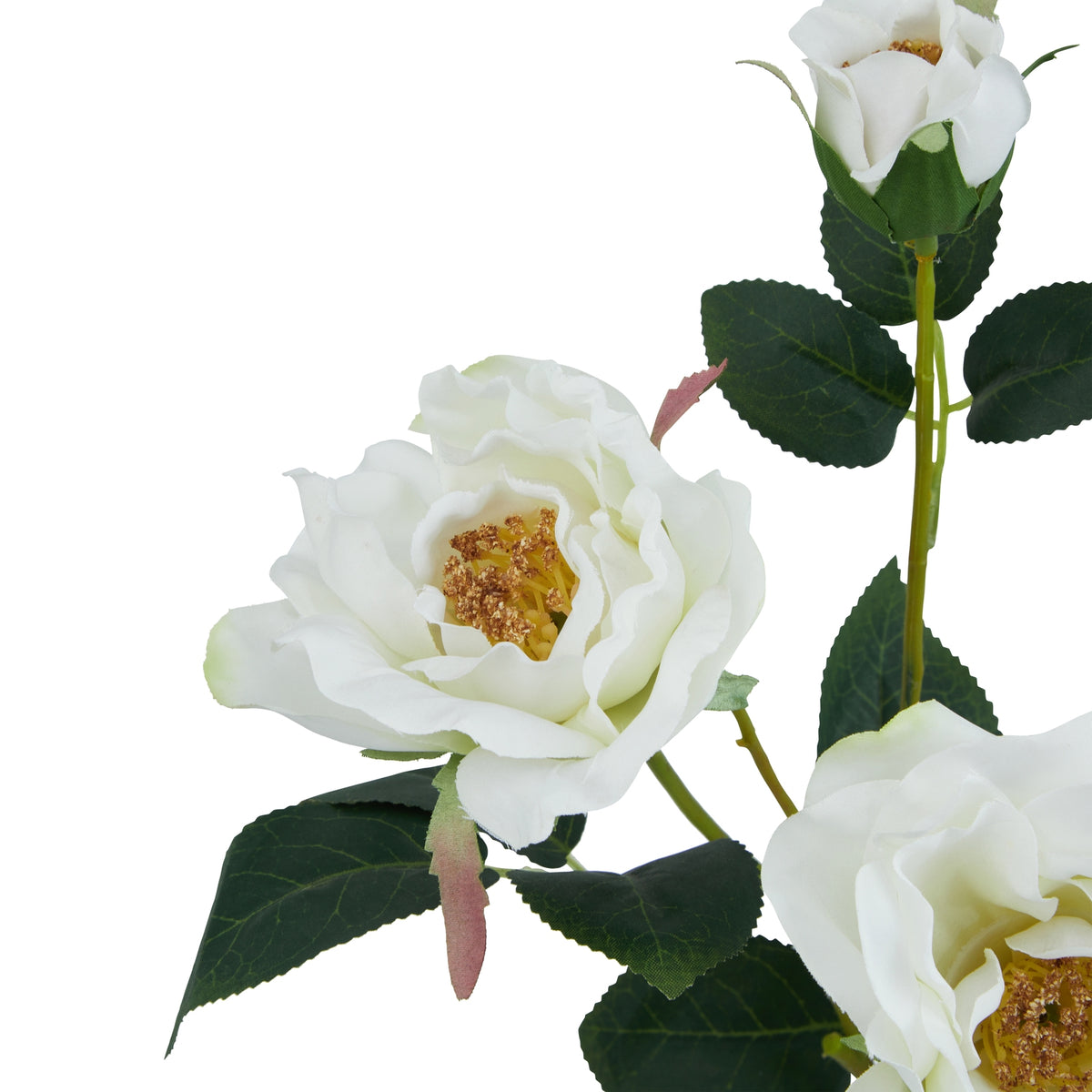 The Natural Garden Collection White Tea Rose 60 cm