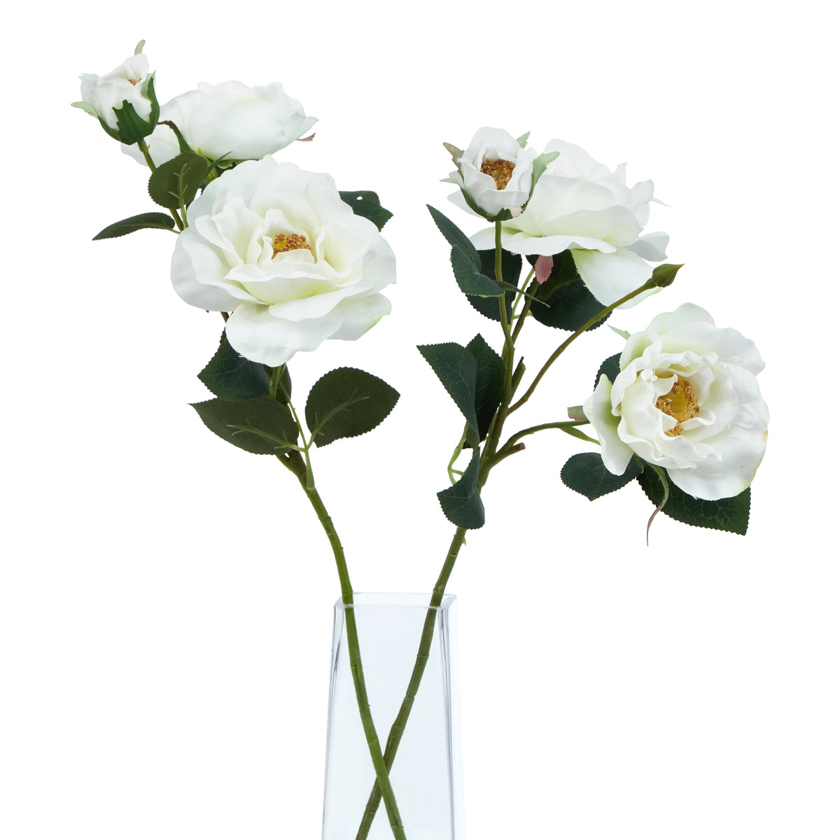 The Natural Garden Collection White Tea Rose 60 cm