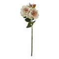 The Natural Garden Collection Palest Blush Tea Rose 60 cm