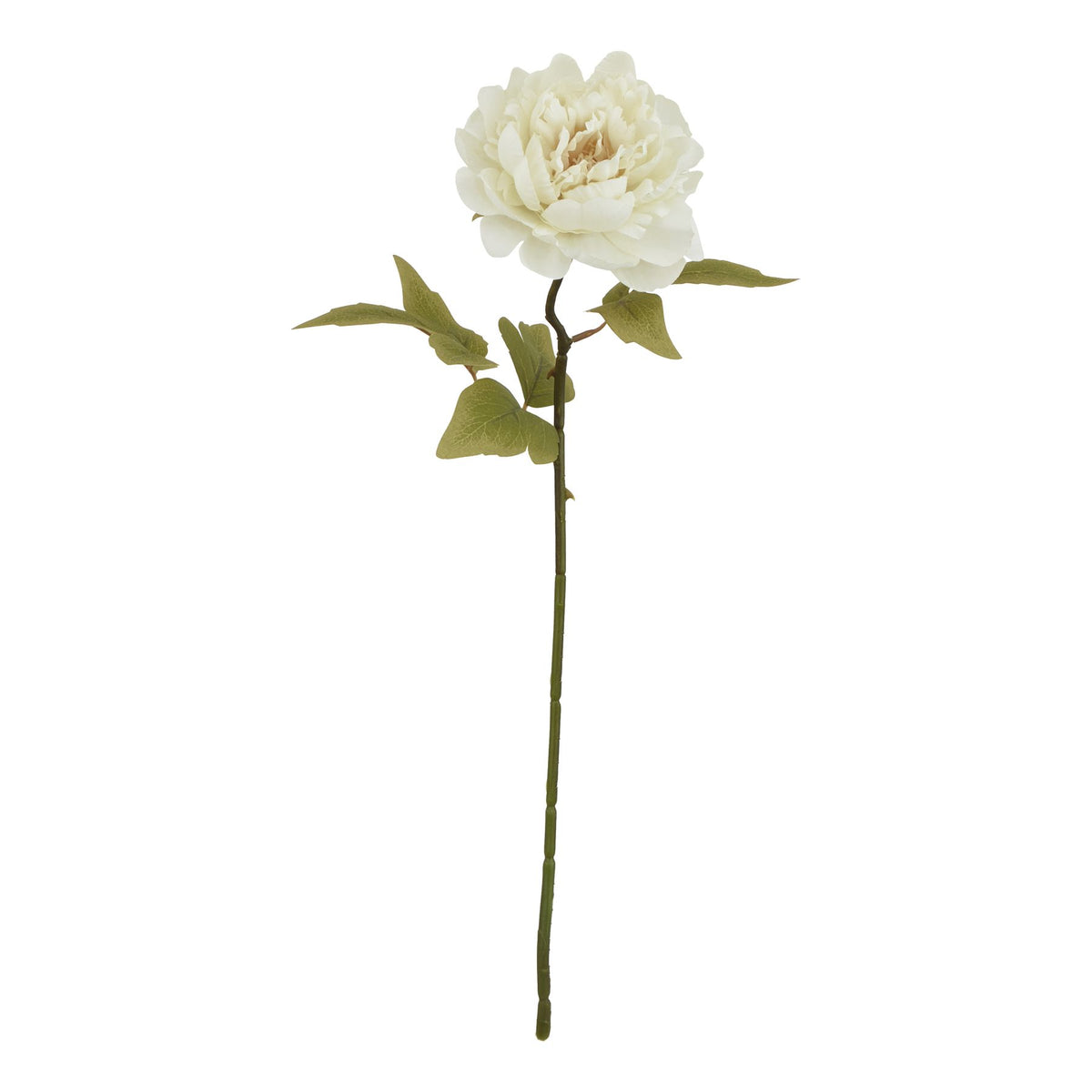 The Natural Garden Collection White Peony 52 cm