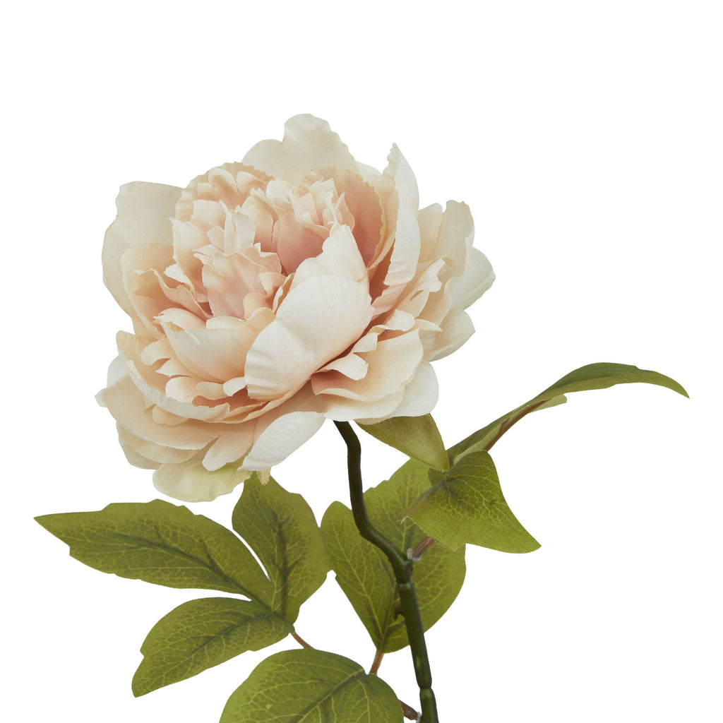 The Natural Garden Collection Blush Peony 52 cm