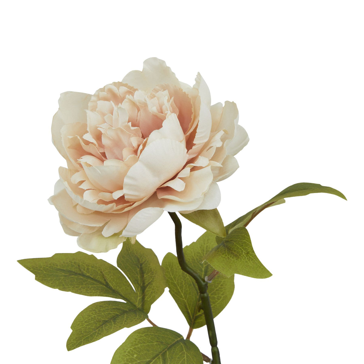 The Natural Garden Collection Blush Peony 52 cm