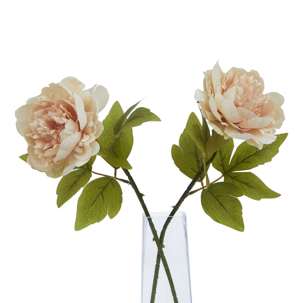 The Natural Garden Collection Blush Peony 52 cm