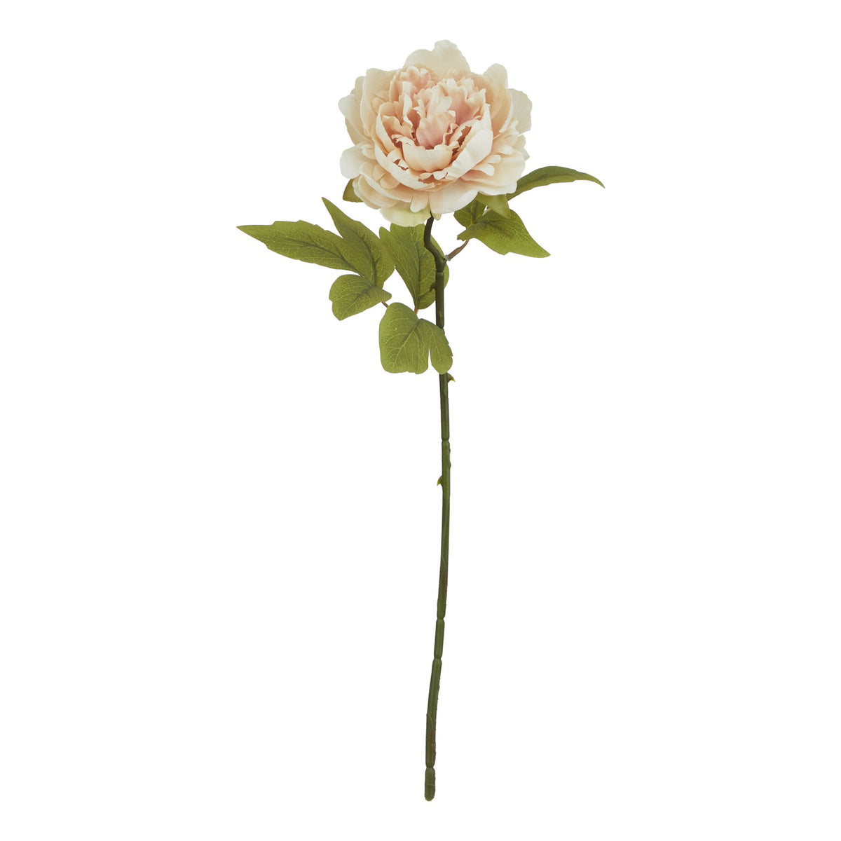 The Natural Garden Collection Blush Peony 52 cm
