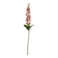 The Natural Garden Collection Pale Pink Foxglove 55 cm
