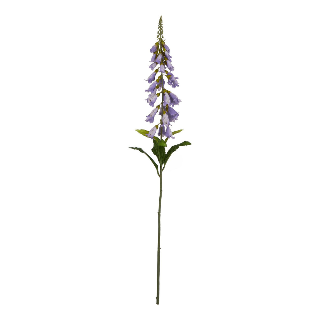 The Natural Garden Collection Mauve Foxglove 11 cm