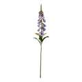 The Natural Garden Collection Mauve Foxglove 11 cm