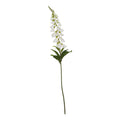 The Natural Garden Collection White Foxglove 11 cm