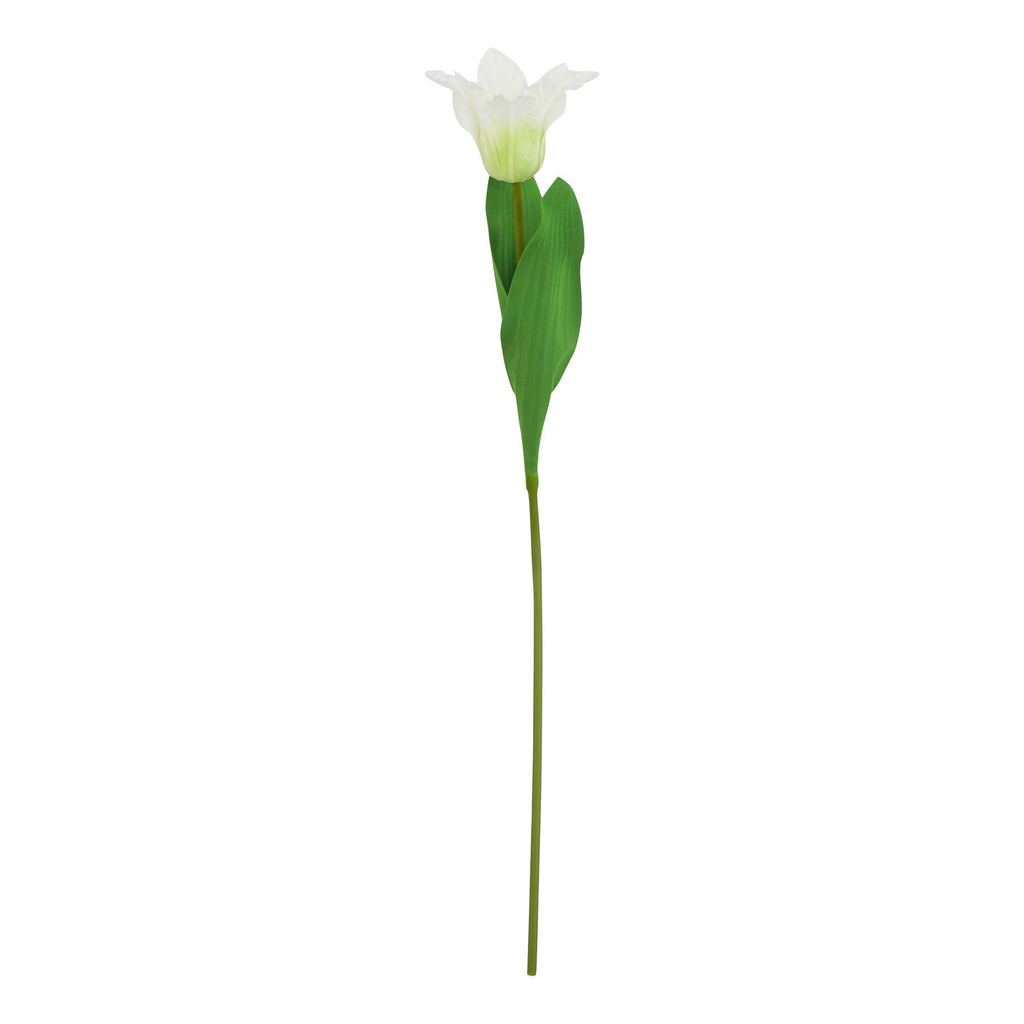 The Natural Garden Collection White Parrot Tulip 67 cm